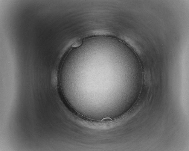 X0000115730015200911191421