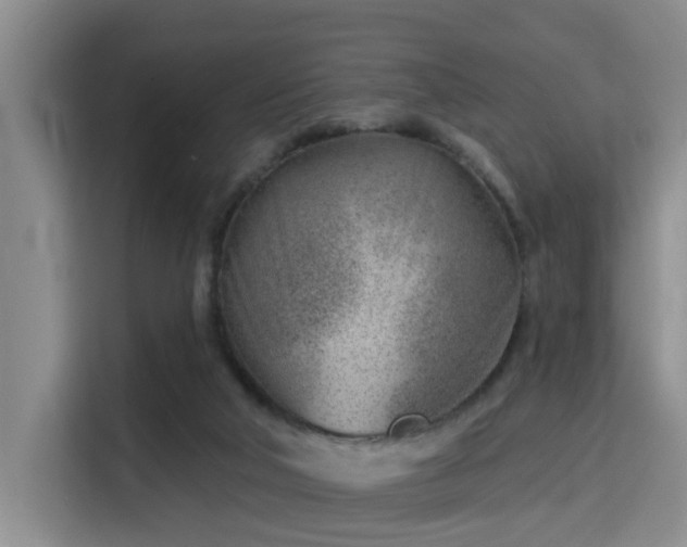 X0000115730018200911191421