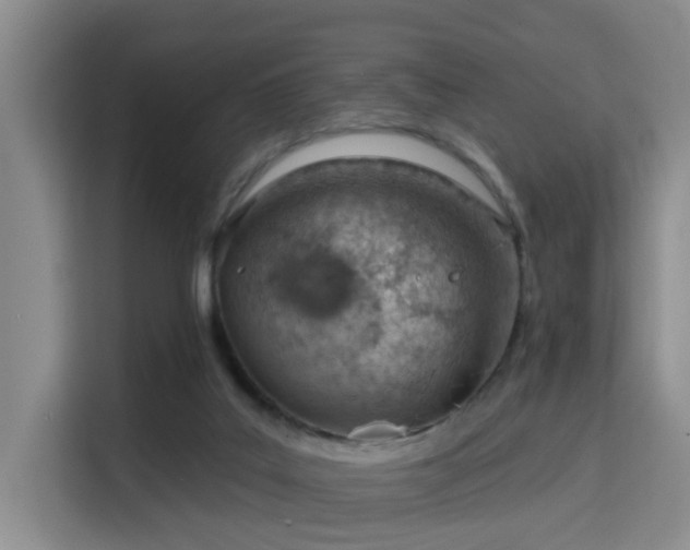 X0000115730019200911191421