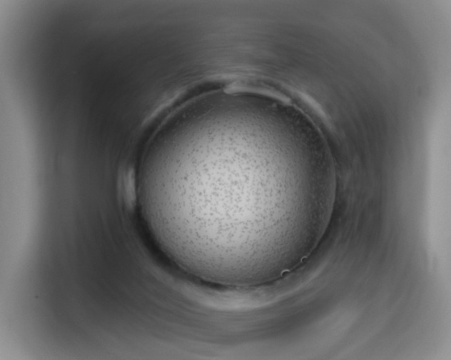 X0000115730020200911191421