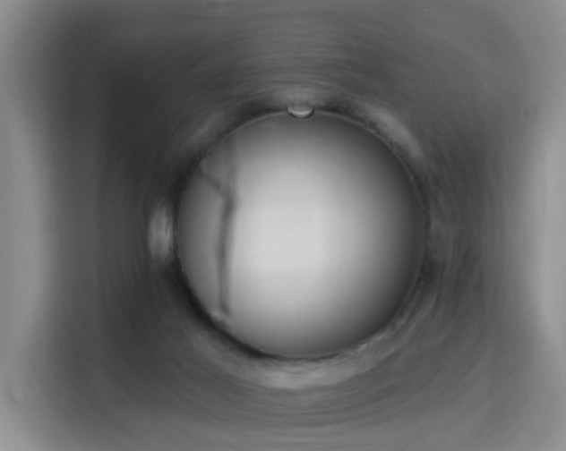 X0000115730021200911191421