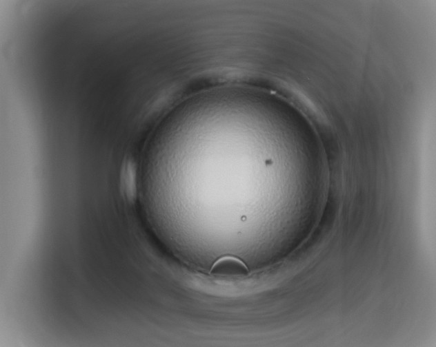 X0000115730022200911191421