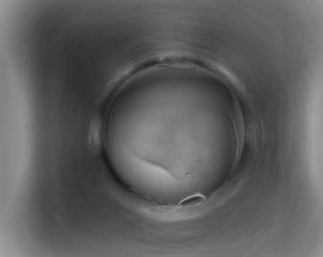 X0000115730023200911191421