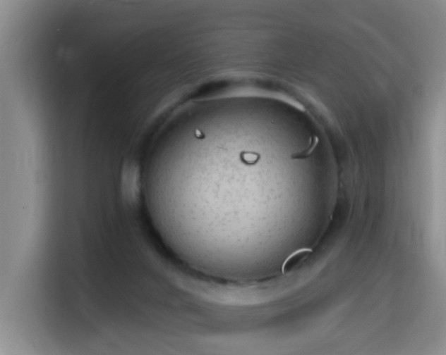 X0000115730024200911191421