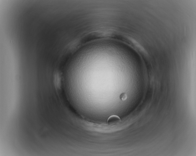 X0000115730026200911191421