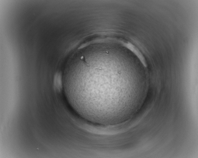 X0000115730028200911191421