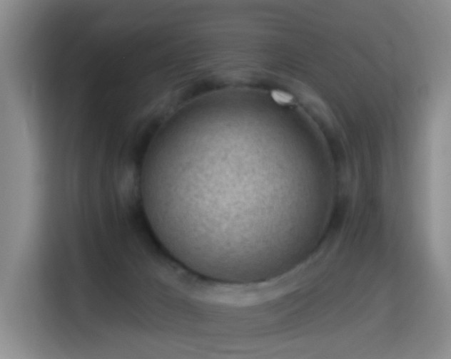 X0000115730029200911191421