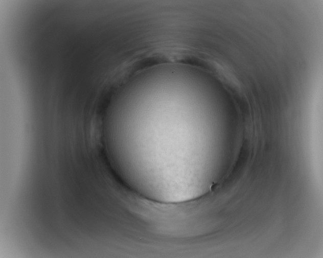 X0000115730030200911191421