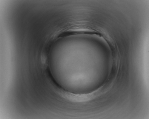 X0000115730031200911191421