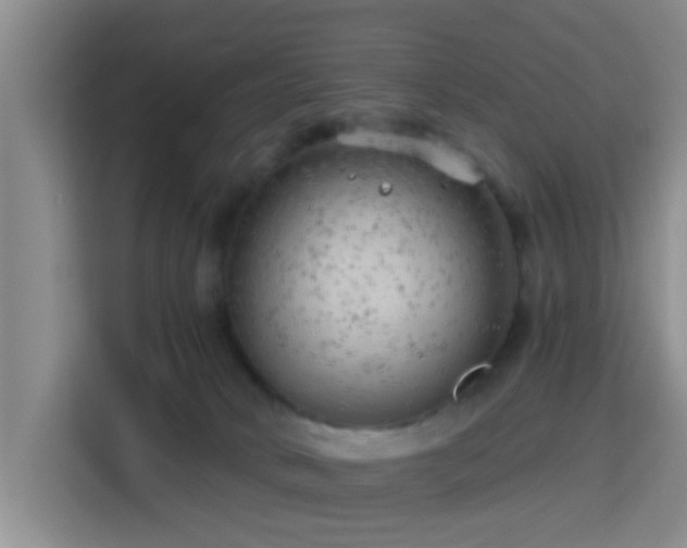 X0000115730034200911191421