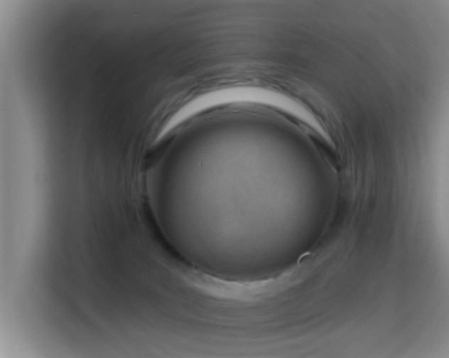 X0000115730035200911191421