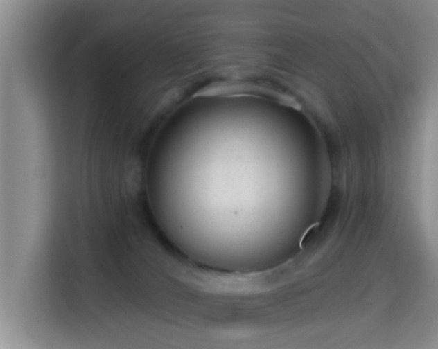 X0000115730036200911191421