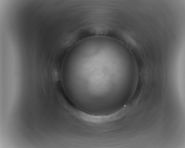 X0000115730039200911191421