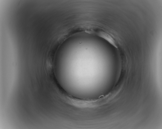 X0000115730040200911191421