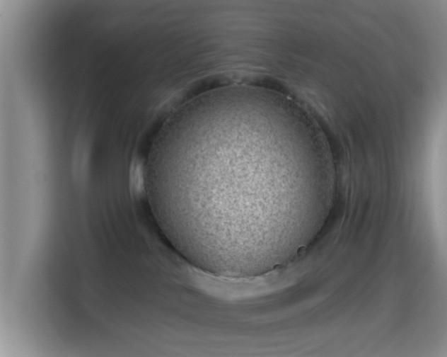 X0000115730042200911191421