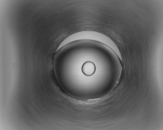 X0000115730043200911191421