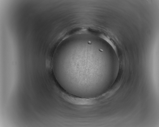 X0000115730044200911191421