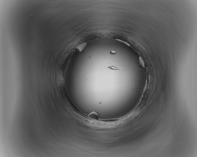 X0000115730048200911191421