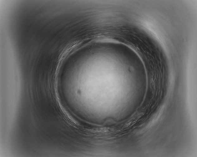 X0000115730049200911191420