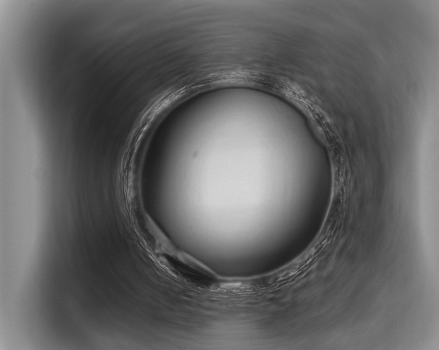 X0000115730050200911191420