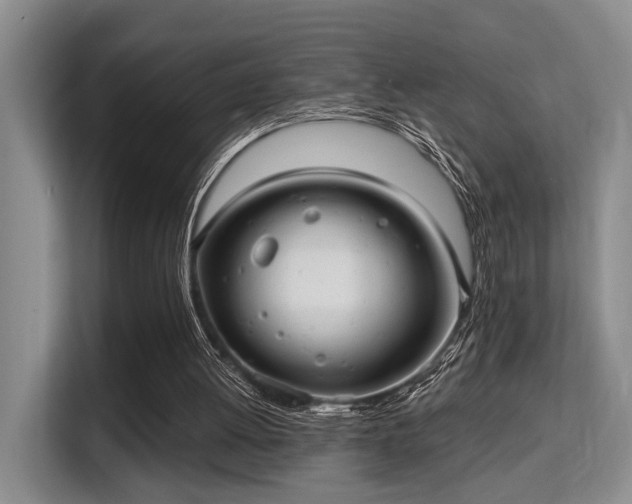 X0000115730052200911191420