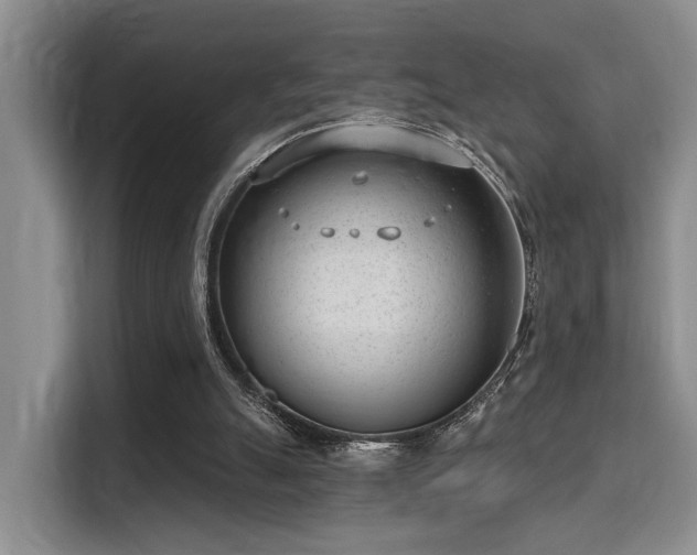 X0000115730055200911191420