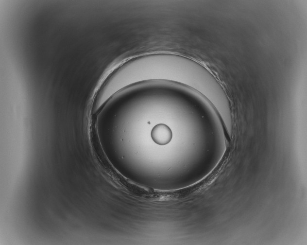 X0000115730056200911191420