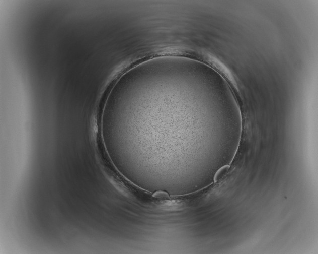 X0000115730059200911191420