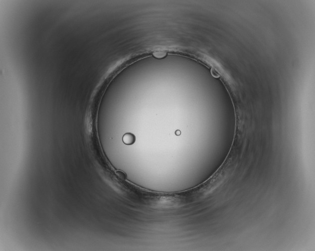 X0000115730060200911191420