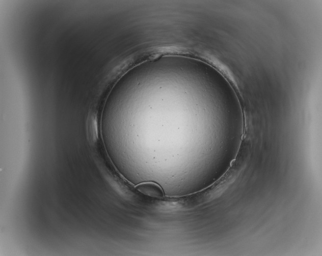 X0000115730061200911191420