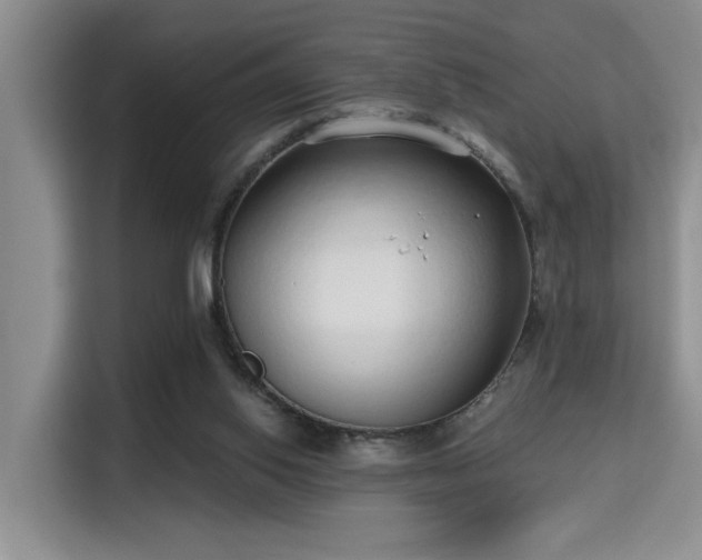 X0000115730062200911191420