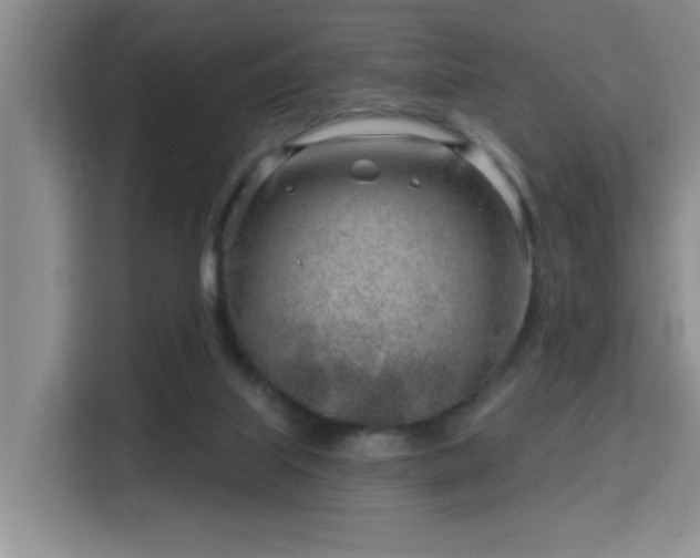 X0000115730067200911191420