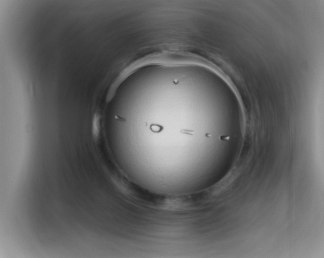 X0000115730070200911191420