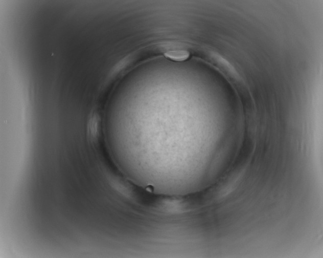 X0000115730071200911191420