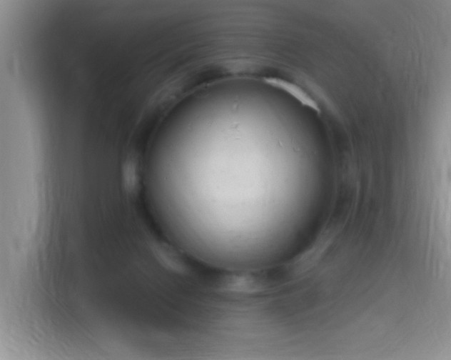 X0000115730074200911191420