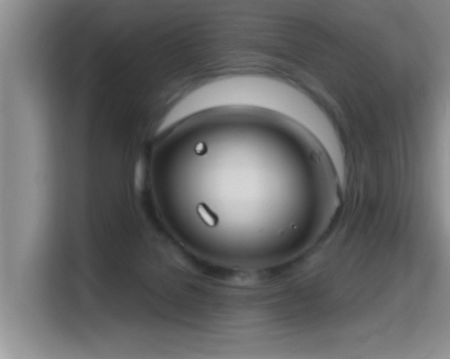 X0000115730076200911191420