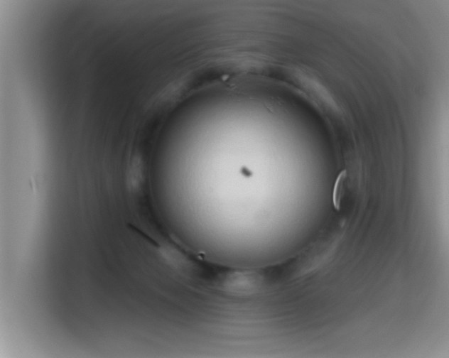 X0000115730077200911191420