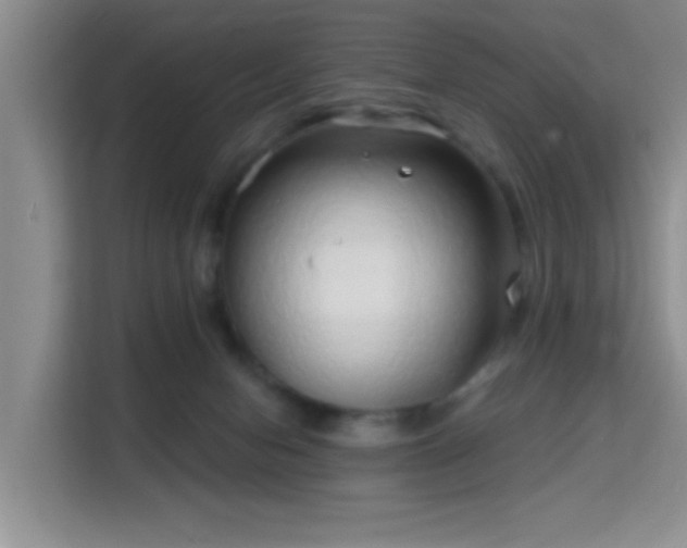 X0000115730078200911191420