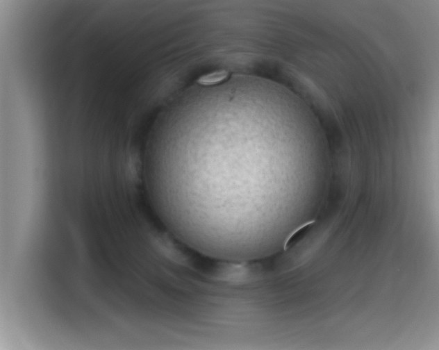 X0000115730083200911191421