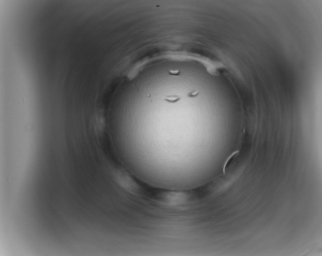 X0000115730085200911191421