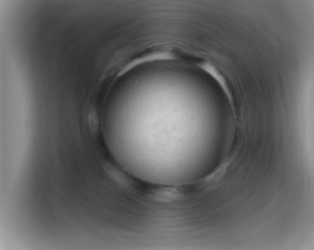 X0000115730086200911191421