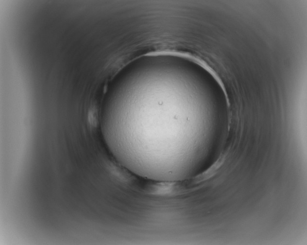 X0000115730090200911191421