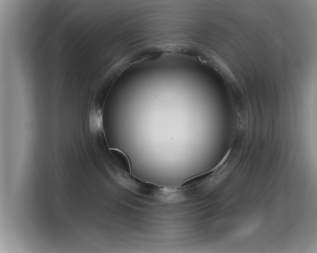 X0000115730095200911191421