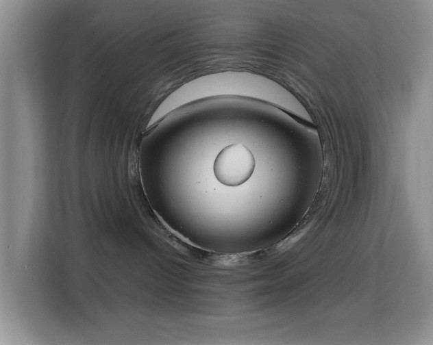 X0000115730096200911191421