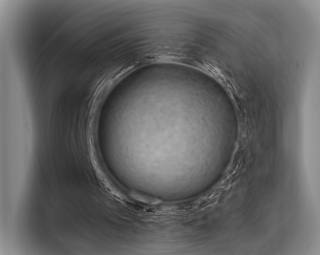 X0000115730097200911191420