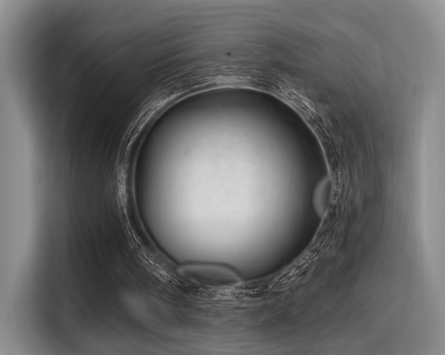 X0000115730098200911191420