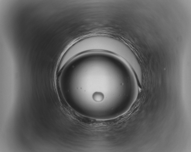 X0000115730100200911191420