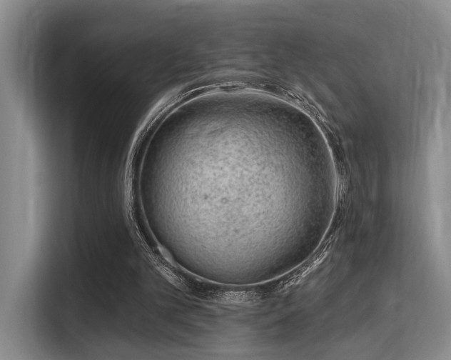 X0000115730101200911191420