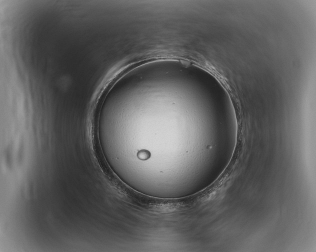 X0000115730103200911191420