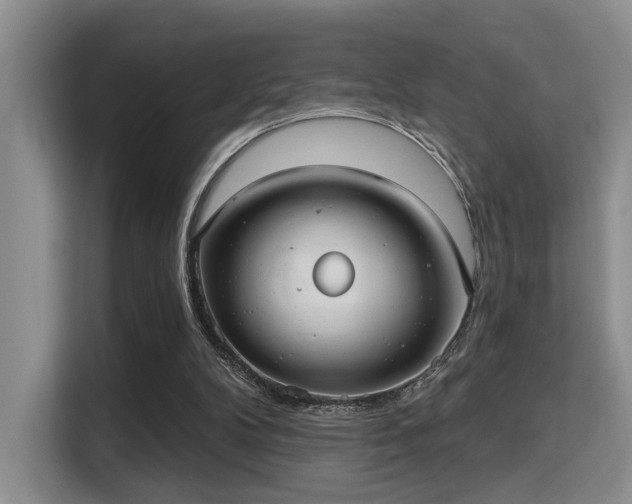 X0000115730104200911191420